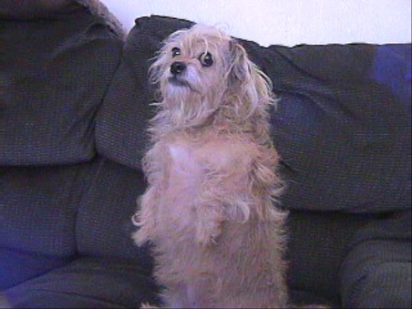 /Images/uploads/Humane Society of Utah/HSUCalendar/entries/973thumb.jpg